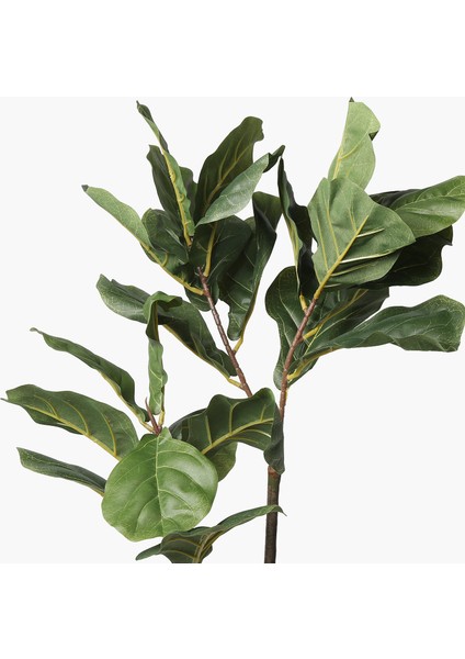 Saksılı Fiddle Leaf Ağaç 30X30X110CM
