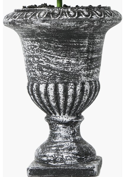 Saksılı Boxwood 2 Katlı Yuvarlak 39CM modelleri