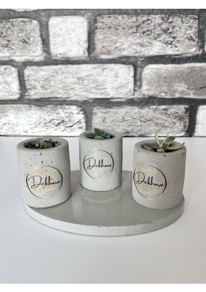 Beton 3lü Tepsili Saksı