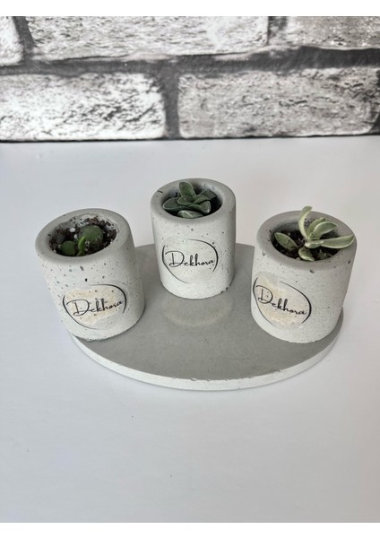 Beton 3lü Tepsili Saksı