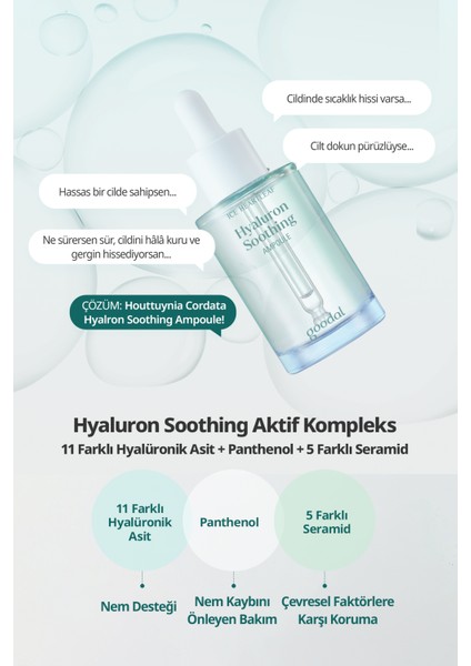 Hassas Ciltlere Bakım Sunan Nemlendirici Ampul Goodal Houttuynia Cordata Hyaluron Soothing Ampoule