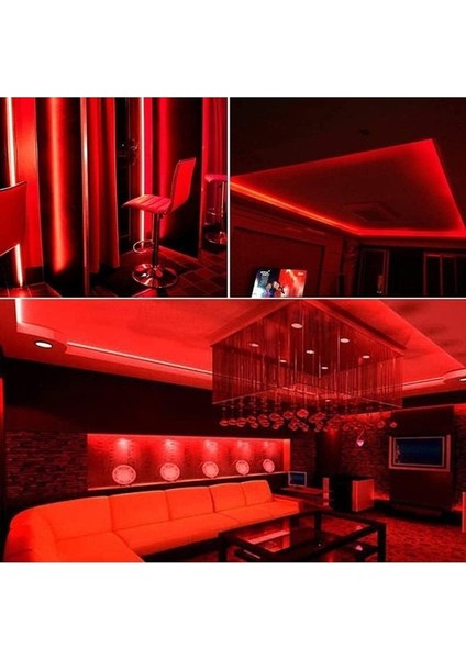 Neon Esnek Hortum Şerit LED Kırmızı Rengi + 220V FIŞ/1,2,3,4,5,10,15,20,25,50,100 Metre modelleri
