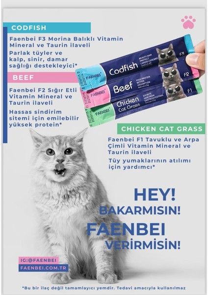 Faenbeı Kedi Krema 6lı Paket 10 Paket