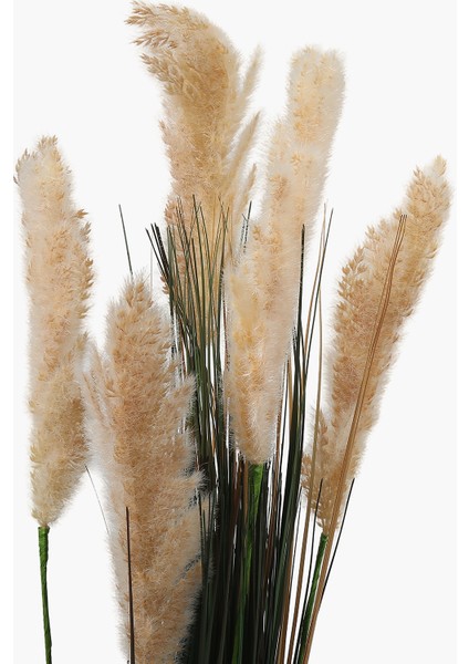 Saksılı Pampas Otu Bitkisi 35X35X115CM
