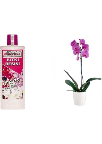 Tropikal Orkide Besin Bitkisi 6 Adet - 1000 ml fiyatları