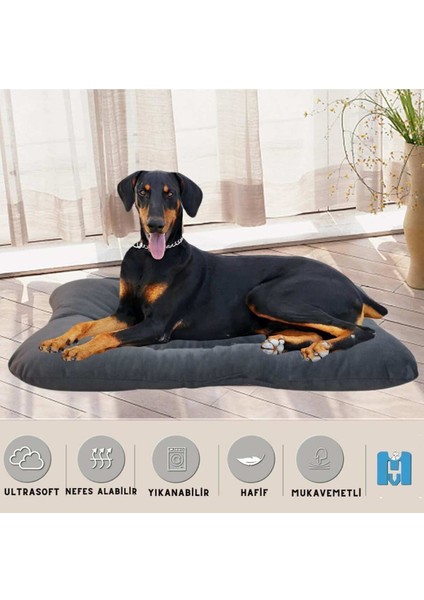 Yıkanabilir Hafif Soft Kedi ve Köpek Yatağı Tüy Tutmaz Mukavemetli Sökülmez indirimleri