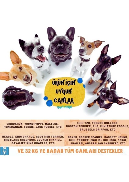 Yıkanabilir Kedi ve Köpek Yatağı Büyük Boy Hand Made fırsatları