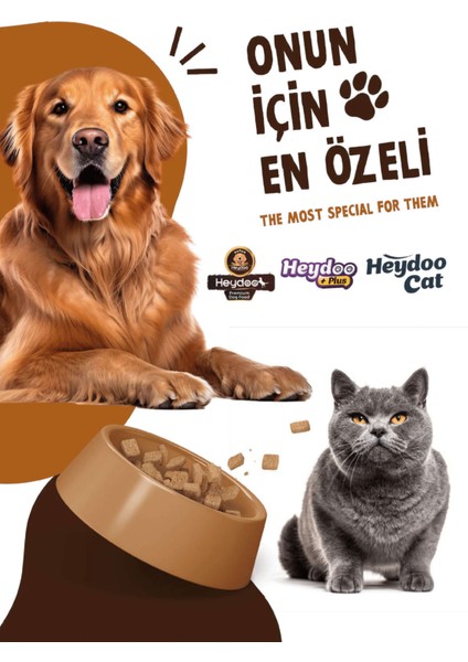 Tavuklu Yavru Kedi Maması 12 kg