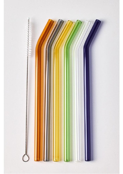 15960 Straw Cam Pipet Fırça Seti Renkli 6lı