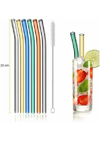 15960 Straw Cam Pipet Fırça Seti Renkli 6lı
