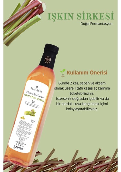 Işkın Kökü Sirkesi Doğal Fermantasyon 500ML Cam Şişe
