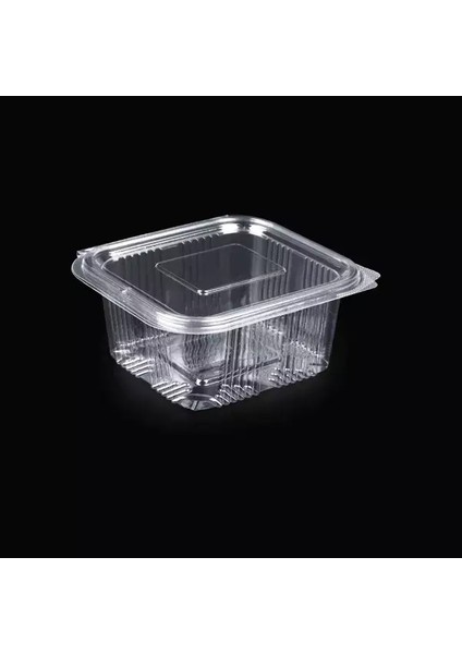 Holopak 500 cc Sızdırmaz Kap 800LÜ Gıda Kabı