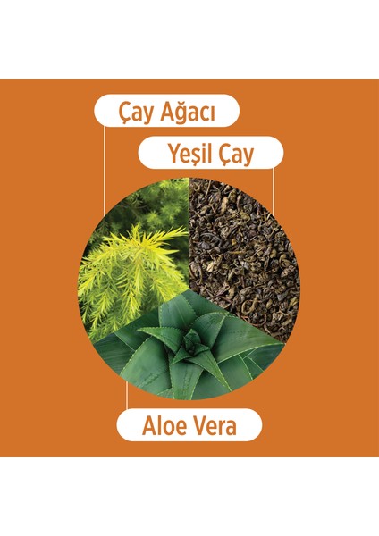 Çay Ağacı Yağı, Yeşil Çay ve Aloe Vera Yüz Peelingi 100 ml modelleri