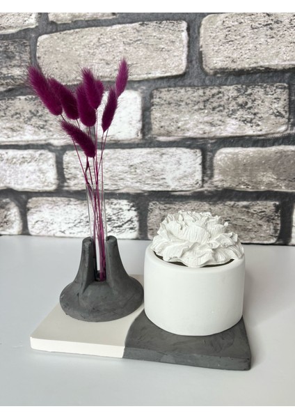 Beton Mum+Şakayık Kapak+Deney Tüpü+Mini Vazo+Kare Tepsi Seti