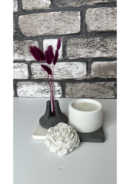 Beton Mum+Şakayık Kapak+Deney Tüpü+Mini Vazo+Kare Tepsi Seti fiyatları