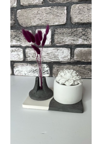 Beton Mum+Şakayık Kapak+Deney Tüpü+Mini Vazo+Kare Tepsi Seti modelleri