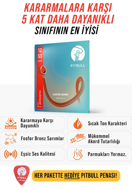Coated Seri Akustik Gitar Teli Cag 12-53 L
