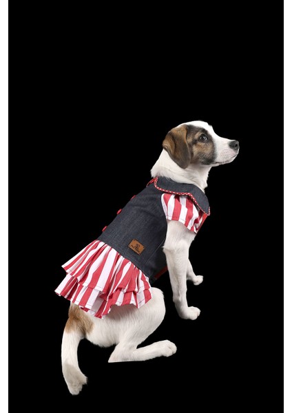 Kot Elbise Kırmızı Ruffle Ince Yazlık Kedi Köpek Kıyafeti