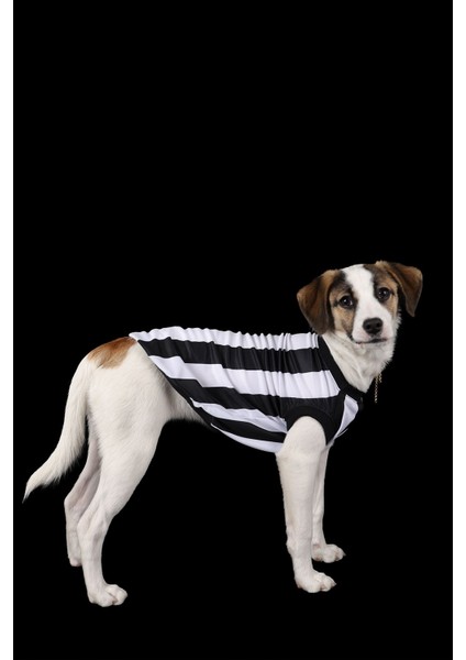 Isim Yazılabilen Ince Yazlık Taraftar Forma Kedi Köpek Kıyafeti