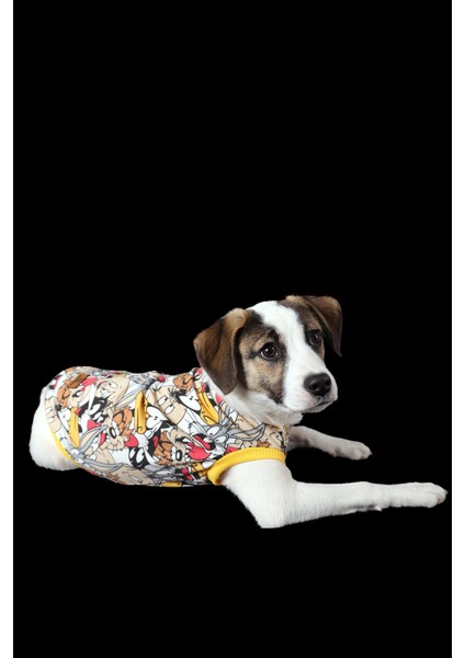 Efsane Çizgi Film Karakterli Atlet Tişört Sarı Detaylı Kedi Köpek Kıyafeti fırsatları