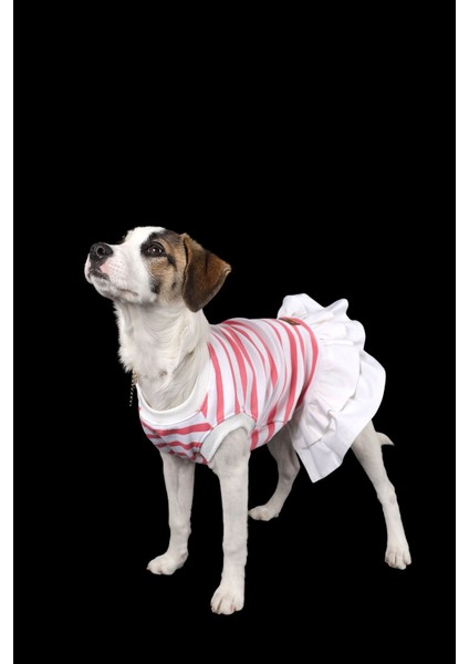 Pembe Çizgili Ince Yazlık Ice Krem Elbise Kedi Köpek Kıyafeti fırsatları