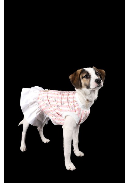 Pembe Çizgili Ince Yazlık Yıldız Tavşan Ruffle Elbise Kedi Köpek Kıyafeti modelleri