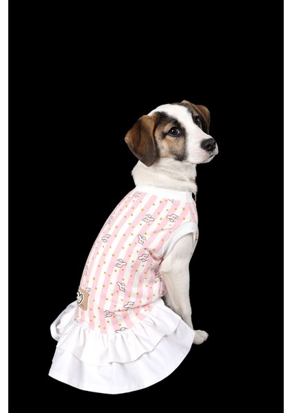 Pembe Çizgili Ince Yazlık Yıldız Tavşan Ruffle Elbise Kedi Köpek Kıyafeti fırsatları