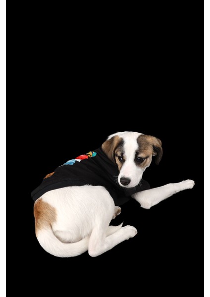 Siyah Ayıcıklı Repçi Ince Yazlık Kollu Tişört Kedi Köpek Kıyafeti fırsatları