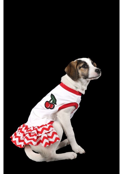 Beyaz Kirazlı Ince Yazlık Ruffle Elbise Kedi Köpek Kıyafeti