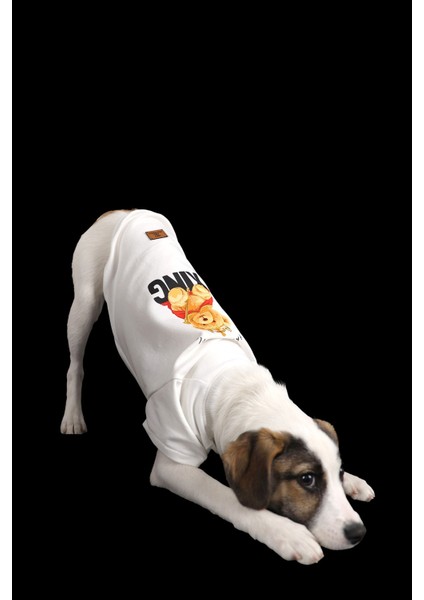 Beyaz Ince Yazlık King Ayıcıkbaskılı Kedi Köpek Kıyafeti