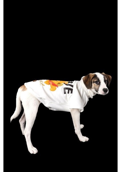 Beyaz Ince Yazlık Kollu Tişört Love Ayıcıklı Baskılı Kedi Köpek Kıyafeti fırsatları