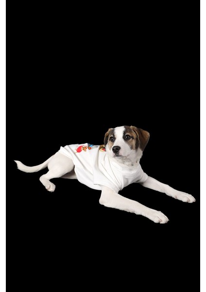 Beyaz Ince Yazlık Baby Ayıcık Baskılı Kollu Tişört Kedi Köpek Kıyafeti fırsatları