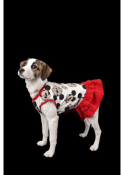Mickey Desenli Ince Yazlık Ruffle Elbise Kedi Köpek Kıyafeti fırsatları