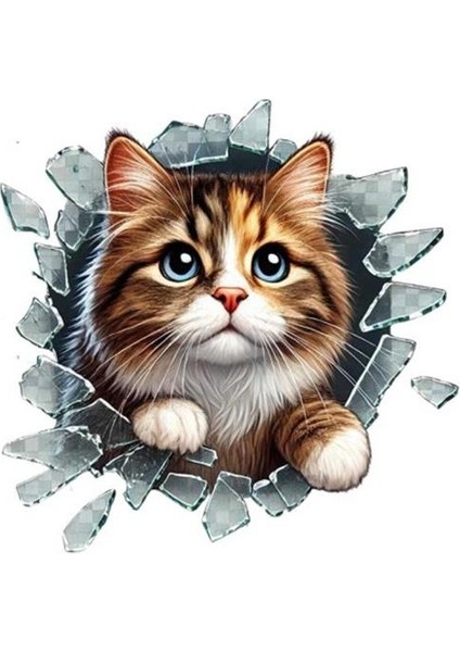 Fulcar Stray Araç Stickerı