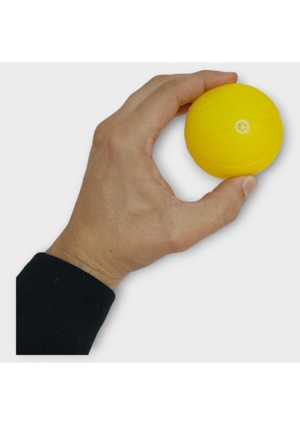 Köpek Oyuncağı - Plastik Düdüklü Top - Sarı fiyatları