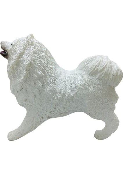 Köpekler - Samoyed Cinsi Köpek fiyatları