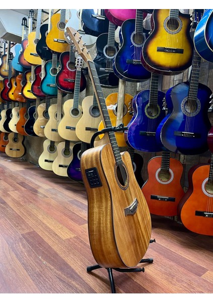 Elektro Akustik Gitar Sahne Gitarı fiyatları