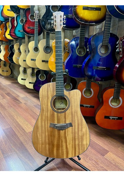 Elektro Akustik Gitar Sahne Gitarı modelleri