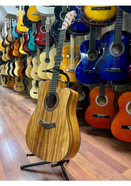 Elektro Akustik Gitar Sahne Gitarı indirimleri