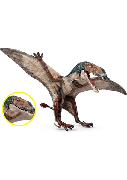 Çocuklar Etçil Açık Ağız Pterodaktil Pvc Dinozor Dünya Hayvan Modeli Aksiyon Figürleri Oyuncak (Yurt Dışından)