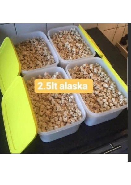 4 Adet 2.5 Lt Alaska.