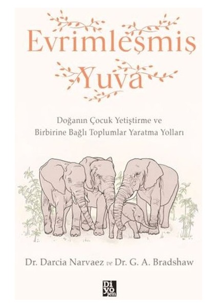 Evrimleşmiş Yuva
