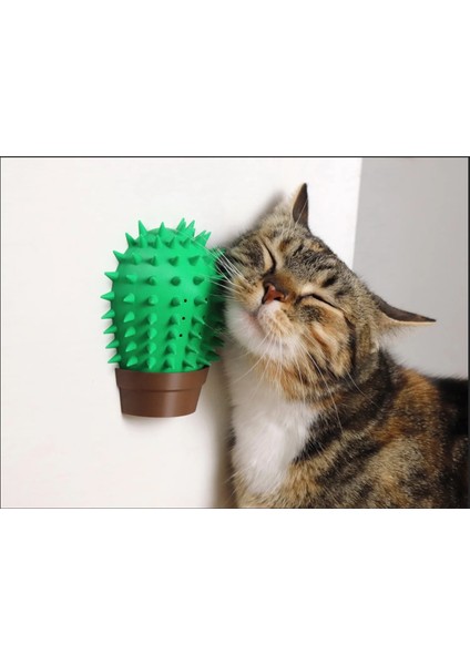 Kaktüs Kedi Kaşıma Aparatı – Catnip Hazneli, Duvara Takılabilir