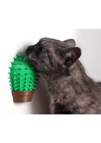 Kaktüs Kedi Kaşıma Aparatı – Catnip Hazneli, Duvara Takılabilir