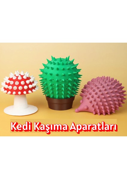 Kaktüs Kedi Kaşıma Aparatı – Catnip Hazneli, Duvara Takılabilir