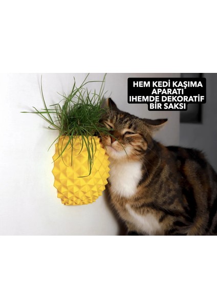 Ananas Şekilli Kedi Kaşıma Aparatı (Kedi Çimi Eklenebilir – Duvara Montaj – Dekoratif Tasarım)