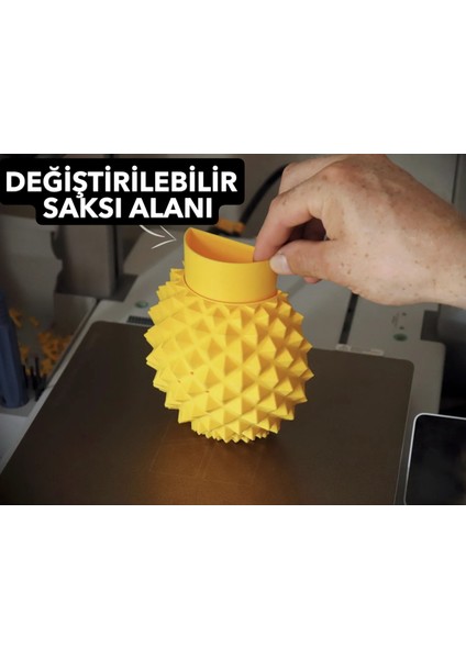 Ananas Şekilli Kedi Kaşıma Aparatı (Kedi Çimi Eklenebilir – Duvara Montaj – Dekoratif Tasarım)