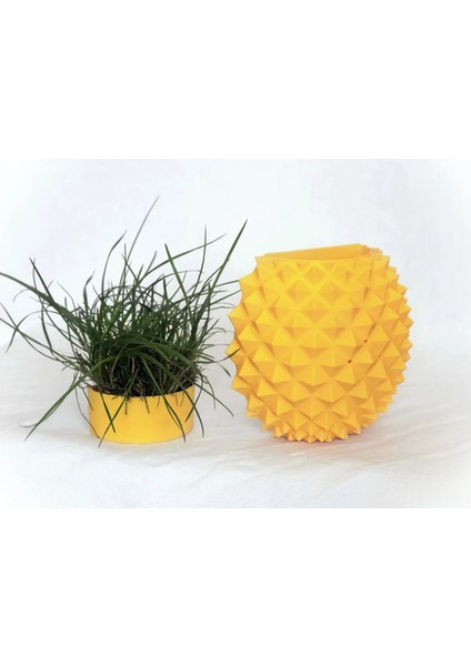 Ananas Şekilli Kedi Kaşıma Aparatı (Kedi Çimi Eklenebilir – Duvara Montaj – Dekoratif Tasarım)