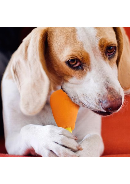 Köpekler Için Tavuk Budu Oyuncağı Sesli Dayanıklı Oyuncak Tavuk But Evcil Hayvan Eğitici Oyuncak fiyatları