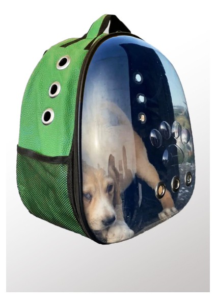 Deri Astronot Kedi ve Köpek Taşıma Çantası Yeşil Renk